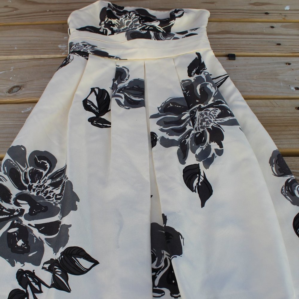 Beautiful Anne Taylor Petite Dress